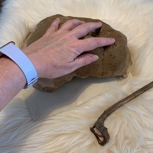 Lizard cave and driftwood - Picture 4 of 7